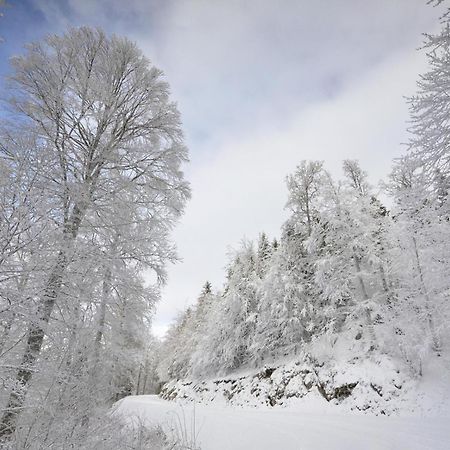 Villa Gite Face Au Vercors Marches Exterior foto