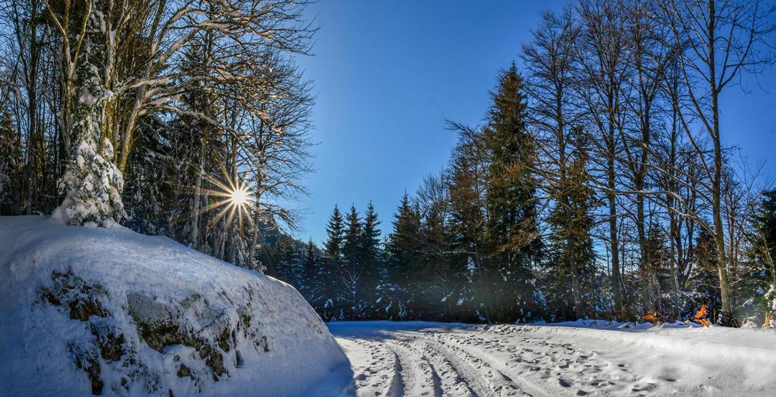 Villa Gite Face Au Vercors Marches Exterior foto